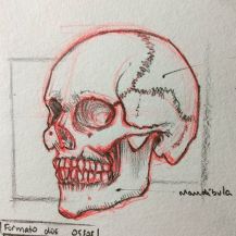 20170616 [Sketch Anatomy]